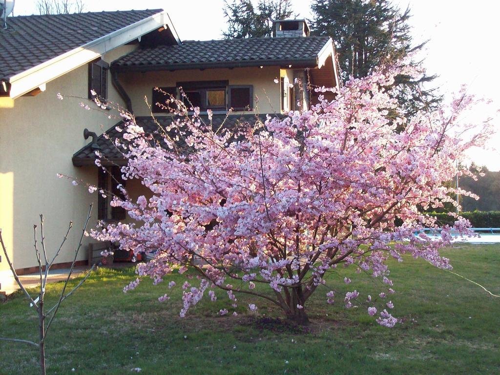 B&B Il Ciliegio Lomnago Exterior foto